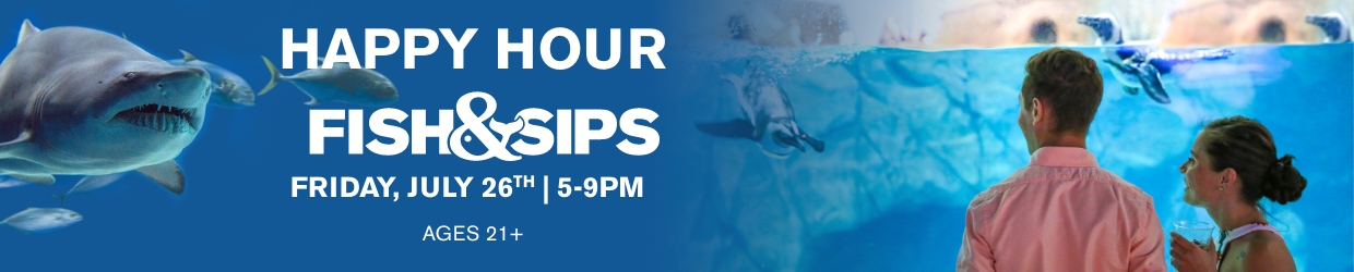 Fish & Sips - Navigation Image_1240x250 â 5