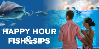 Fish & Sips - Navigation Image_350x175 â 2