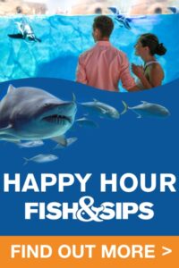 Fish & Sips - Pop Up - 400 x 600 â 2